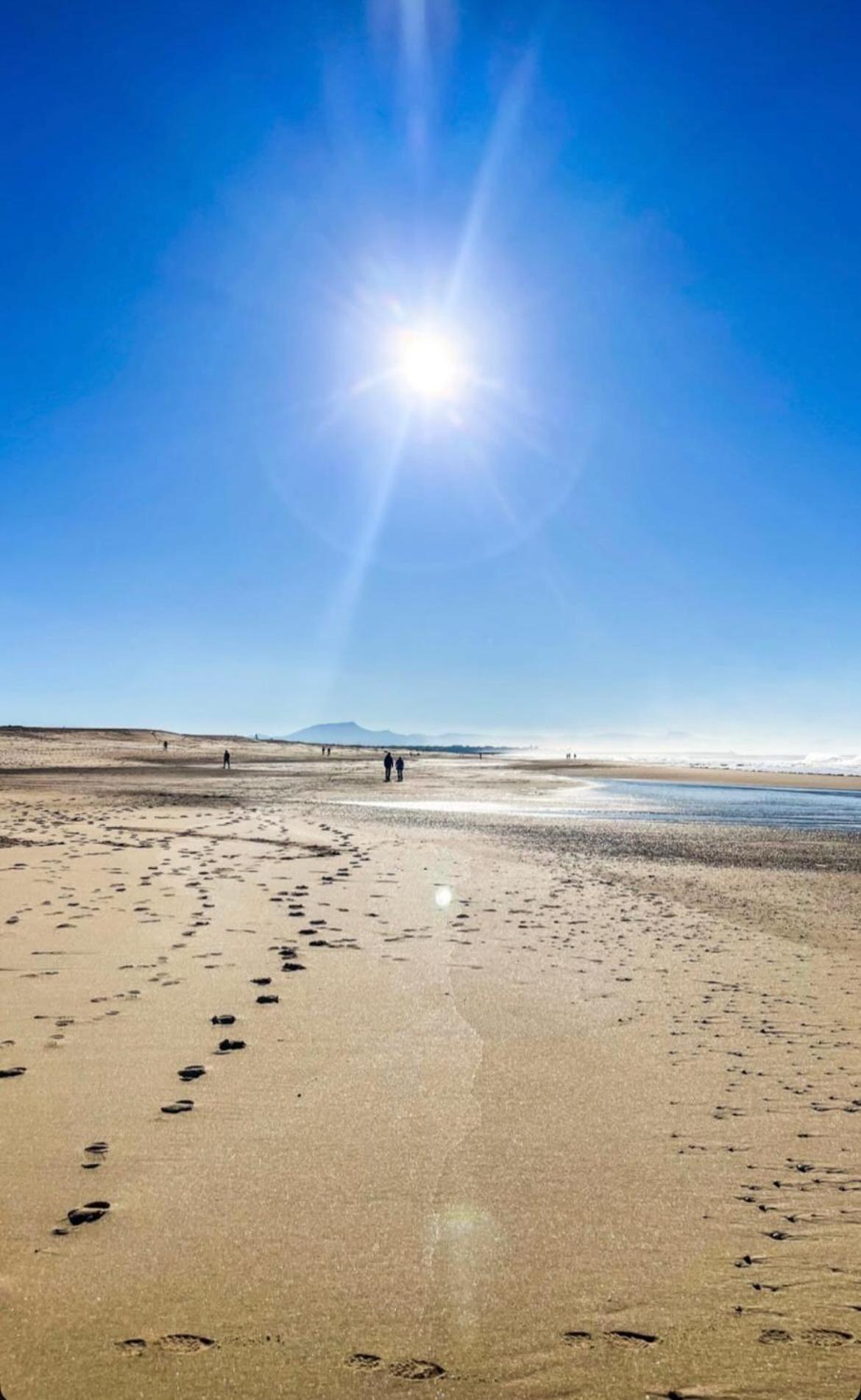 T3 Labenne Capacite 6 Couchages 10Min De La Plage 외부 사진